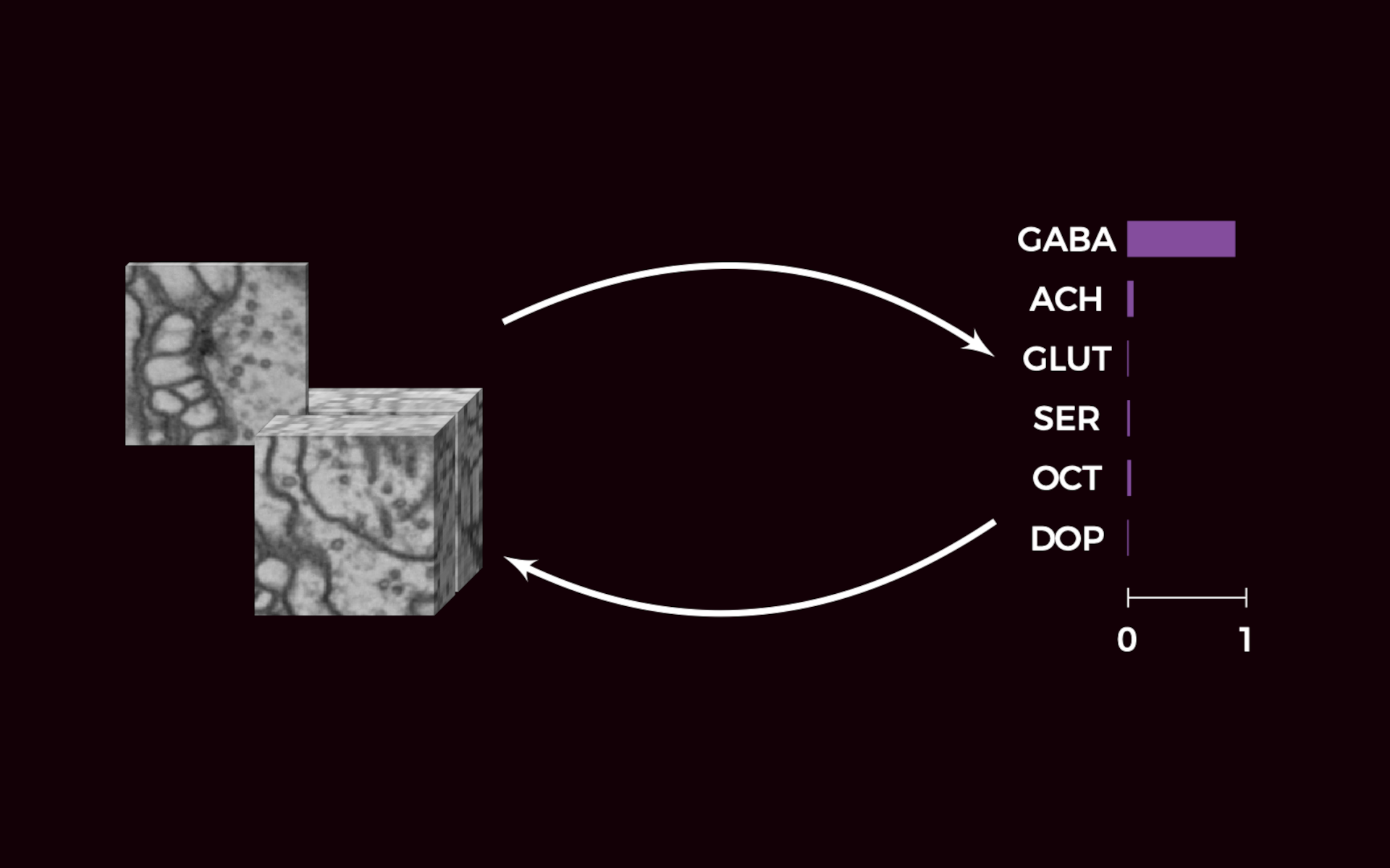 overview of synister